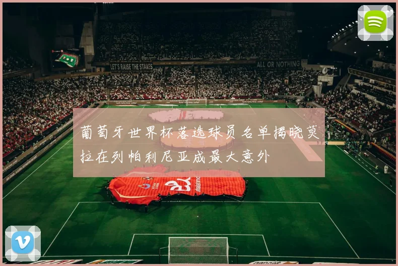葡萄牙世界杯落选球员名单揭晓莫拉在列帕利尼亚成最大意外